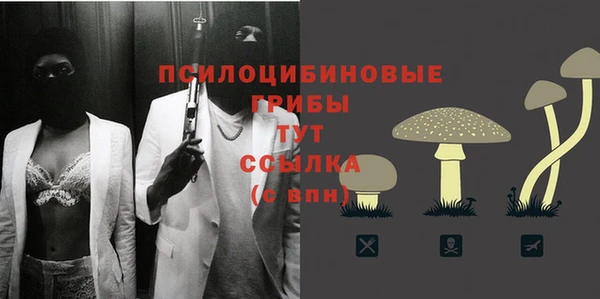 дистиллят марихуана Заводоуковск